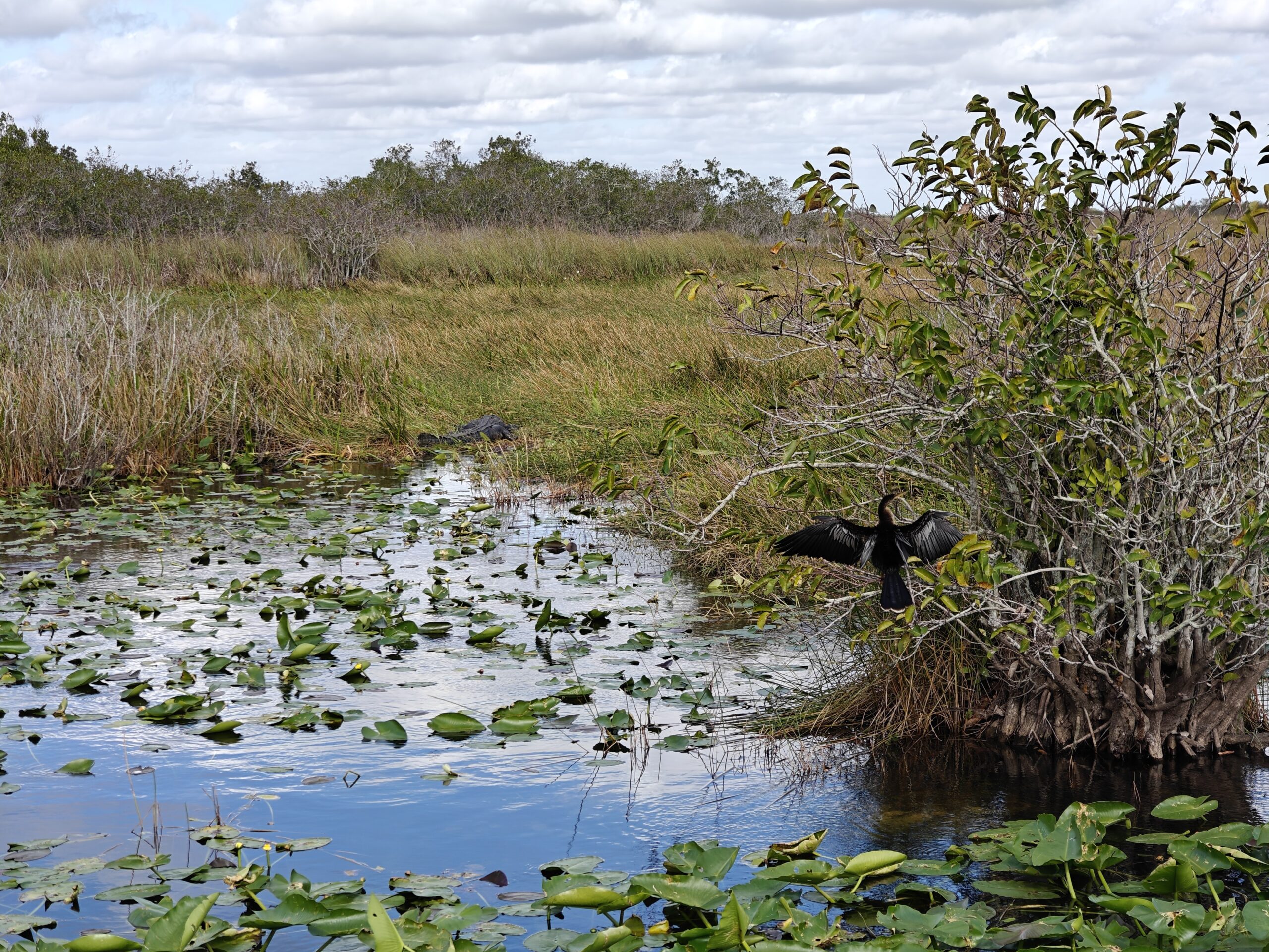 One Day in Everglades National Park: The Ultimate Itinerary