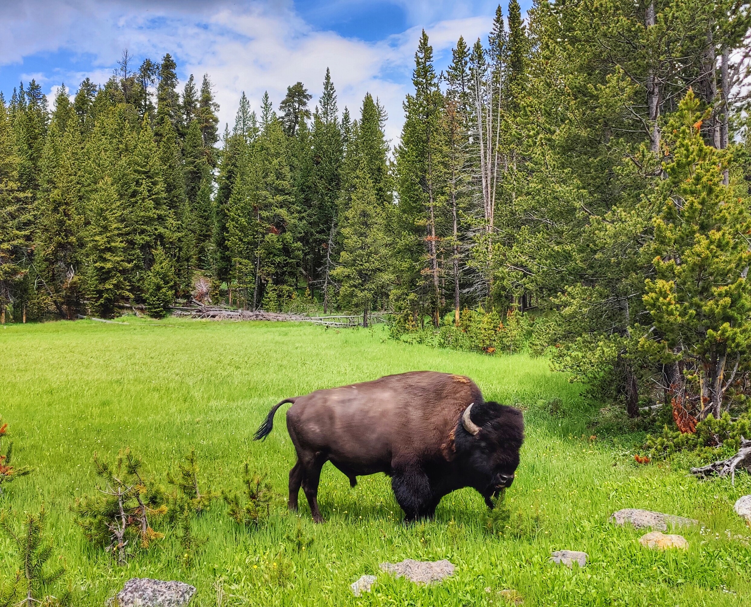 10 Best National Parks for Fall Wildlife Watching
