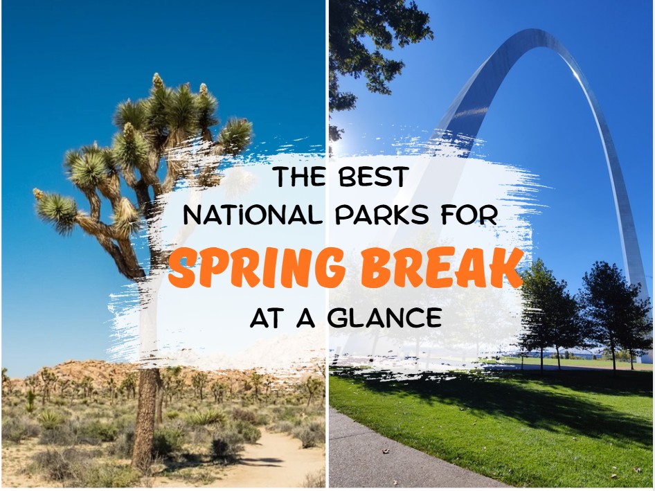 Spring Break National Park Joshua Tree Gateway Arch